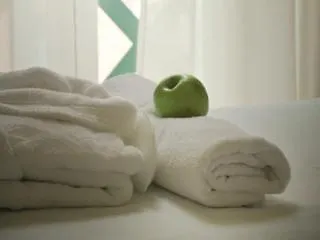 드림